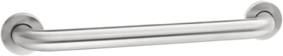 short brushed stainless steel grab bar with a round wall flange at each end